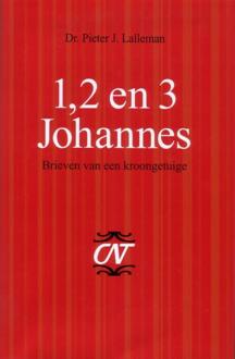 1, 2 en 3 Johannes - Boek P.J. Lalleman (9043510580)