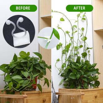 1/5/10/20Pcs Onzichtbare Muur Wijnstokken Armatuur Muur Kleverige Haak Plant Bevestigingsclip Wijnstokken Klimmen kleverige Haak Plant Stent Ondersteunt S / 10stk