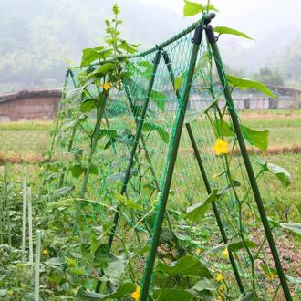 1.8X0.9M Nylon Tuin Trellis Net Ondersteuning Voor Groente Klimmen Wijnstok Planten Tuin Netting Planten Ondersteuning Trellis Netto