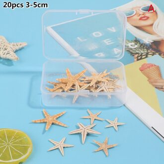 1 Doos Natuurlijke Zeester Seashell Beach Craft Natuurlijke Zee Sterren Diy Strand Bruiloft Decoratie Ambachten Home Decor Zeester Decoratie licht grijs