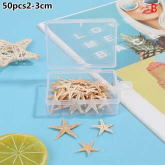 1 Doos Natuurlijke Zeester Seashell Beach Craft Natuurlijke Zee Sterren Diy Strand Bruiloft Decoratie Ambachten Home Decor Zeester Decoratie Licht Groen