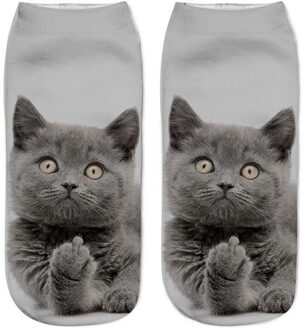 1 Paar Vrouwen Sport Sokken 3D Print Kat Unisex Low Cut Ankle Sokken Sport Fietsen Sok A7