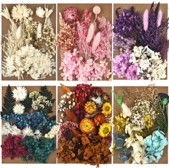 1 Pack Dried Flowers Preserved Flower For DIY Aromatherapy Candle Epoxy Resin Jewelry Making Craft Frame Embossing Accessories