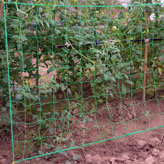 1 pc Groente Plant Wijnstok Hek Bloem Klimmen Wijnstok Mesh Plant Ondersteuning Frame Plantengroei Trellis Netting Tuin Hek