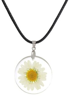 1 Pc Verkoop Handgemaakte Boho Transparante Hars Gedroogde Bloem Daisy Multicolor Hanger Zilveren Kleur Bal Ketting Vrouwen 45cm Lange 6