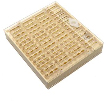 1 Pcs Bijenteelt Apparatuur Gereedschap Grootbrengen Queen Bee Systeem Plastic Box Voor Professionele Imker