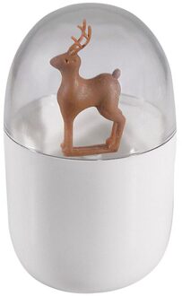 1 Pcs Transparante Deksel Plant/Dier Tandenstoker Opslag Containers Wattenstaafje Wattenstaafje Tandenstoker Opbergdoos Thuis Tank