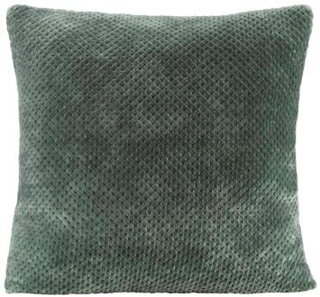 1+1 Gratis Leen Bakker - Woonkussen Ilona - 60x60 Cm - Polyester - Groen