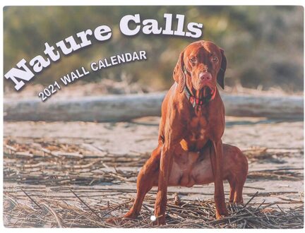1 Set Funny Animal Kalender Creatieve Hond Pooping Kalender Notepad Kalender kleurrijk 2