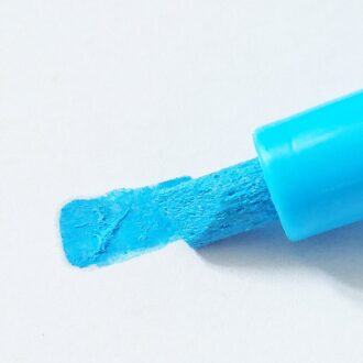 1 set Plastic Bijenkoningin Markering Kooi en Bee Markeerstift Marker Fles met Plunger Capture Koningin Bijenteelt Apparatuur cage en blauw