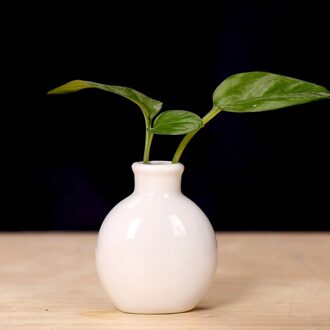 1 Stuk Keramische Mini Bloemenvaas Home Tuin Decoratie Planter Pot Leuke Bloempot Planter Desktop Vaas Home Office Bonsai Pot wit