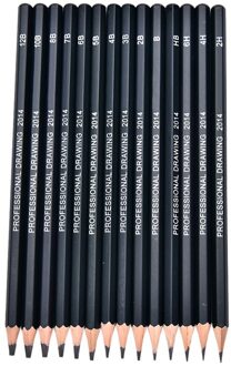 10/12/14Pcs Professionele Schets En Tekening Schrijven Potlood Briefpapier Supply 1B 2B 3B 4B 5B 6B 7B 8B 10B 12B 2H 4H 6H Hb Potlood 14 stk