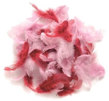 10 gram decoratie veren roze tinten - 2x zakjes - sierveren/deco veertjes