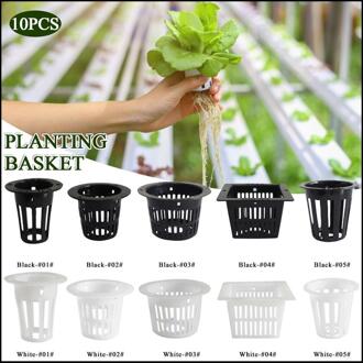 10 PCS Hydrocultuur Planting Mand Mini Mesh Pot Netto Cup Mand Thuis Plastic Hydrocultuur Containers Voor Balkon Tuin Groeien wit 04