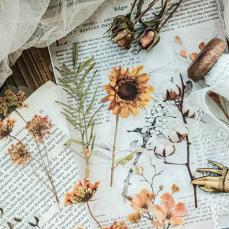 10 pcs/lot Rose Flower House PET Stickers Scrapbooking DIY Sticker Cute School Office Supplies Stationery