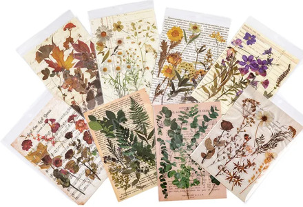 10 Sheets Nature Plant Hearb Leaf Transparent Sticker Decoration Diy Ablum Diary Scrapbooking Label Sticker Kawaii Stationery