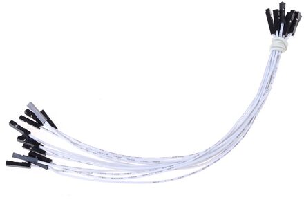 10 Stks/partij 20Cm 24AWG Vrouwelijke Aan Vrouwelijke Doorverbindingsdraad Dupont Kabel wit