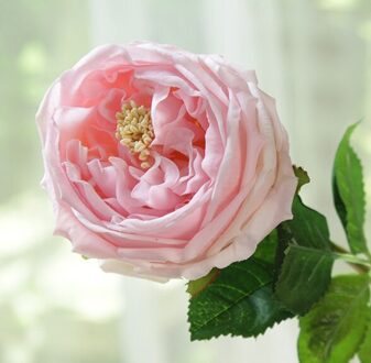 10 Stks/partij! Real Touch Vilt Hydraterende Austin Rose Bloemen Bruiloft Decoratieve Kunstmatige Latex Austin Rose roze A roos