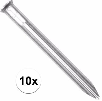 10 stuks metalen tent haringen 24 cm - Tentharingen Zilverkleurig