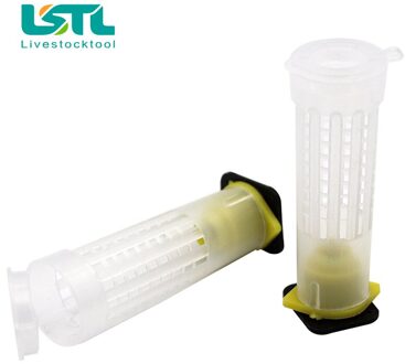10 stuks Queen Bee Cell Cups Bijenteelt Grootbrengen Cups Kooien Imker Bescherming Gereedschap Apparatuur