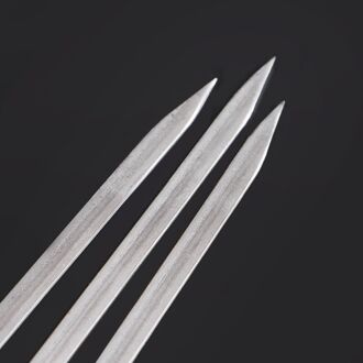 10 Stuks Roestvrij Staal Platte Vlees Spiesjes Voor Outdoor Bbq Barbecue