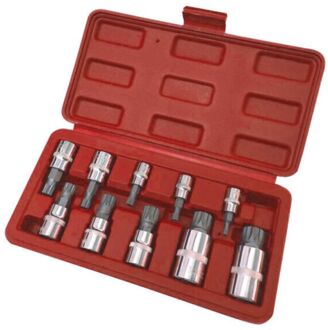 10 Stuks Set Xzn 12 Punt Spline Bit Socket 4-18Mm Auto Anti-Roest Ratels Wrench handgereedschap Anti-Corrosie Apparatuur
