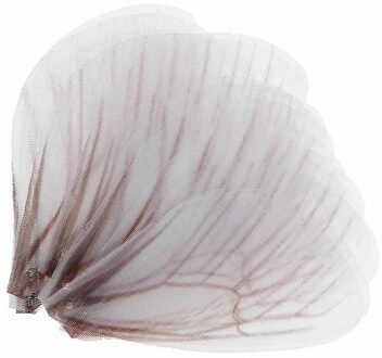 10 Stuks Vlinder Dragonfly Wing Bedels Voor Vrouwen Oorbellen Hanger Diy Sieraden Maken wit