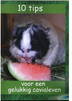 10 tips voor een gelukkig cavialeven - Boek De Grote Cavia (9490902144)