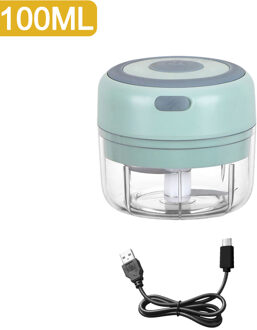 100/250Ml Mini Elektrische Knoflook Stamper Chopper Cutter Gember Stamper Machine Voor Keuken Voedsel Crusher Chili Groente Usb opladen groen reeks C