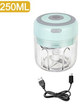 100/250Ml Mini Elektrische Knoflook Stamper Chopper Cutter Gember Stamper Machine Voor Keuken Voedsel Crusher Chili Groente Usb opladen groen reeks D