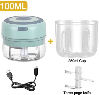 100/250Ml Mini Elektrische Knoflook Stamper Chopper Cutter Gember Stamper Machine Voor Keuken Voedsel Crusher Chili Groente Usb opladen reeks C Plus
