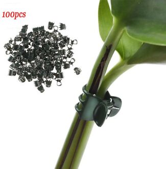 100 Pcs Enten Clip Tuin Clip Vlinder Orchidee Speciale Clip Plant Clip Wijnstok Clip Gebonden Wijnstok Clip Fruit En groente