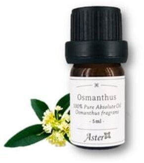 100% Pure Absolute Oil Osmanthus Fragrans 5ml