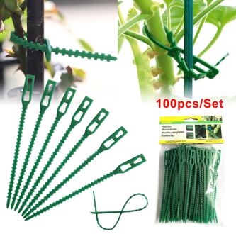 100 Stuks Groen Tuinieren Wijnstok Klimmen Planten Kabelbinder Lijnen Plant Beugels Onderdelen Bonsai Bloem Komkommer Druif Rotan Ondersteunt