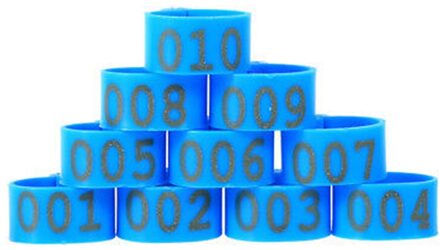 100 Stuks Kip Been Bands 1.6Cm Kip Gevogelte Ringen Duif Ganzen Kwartel Vogel Ring Carry Gereedschap Voeden Logo 5 kleuren Blauw