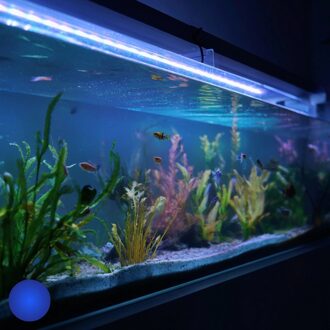 100 t/m 150 cm aquarium led strip blauw