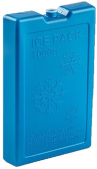 1000 grams koelelementen - 22 x 14 x 3 cm - blauw - kunststof