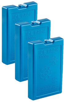 1000 grams koelelementen - 6x stuks - 22 x 14 x 3 cm - blauw - kunststof