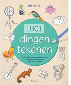 1001 Dingen Tekenen - Lise Herzog