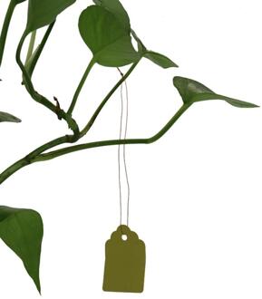 100Pcs Planten Hang Tag Labels En Merken Zaailing Tuin Bloempot Plastic Tag Nummer Plaat Opknoping Herbruikbare Pvc Gereedschap geel