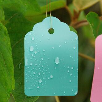 100Pcs Planten Hang Tag Labels En Merken Zaailing Tuin Bloempot Plastic Tag Nummer Plaat Opknoping Herbruikbare Pvc Gereedschap groen