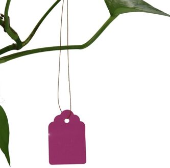 100Pcs Planten Hang Tag Labels En Merken Zaailing Tuin Bloempot Plastic Tag Nummer Plaat Opknoping Herbruikbare Pvc Gereedschap Roze