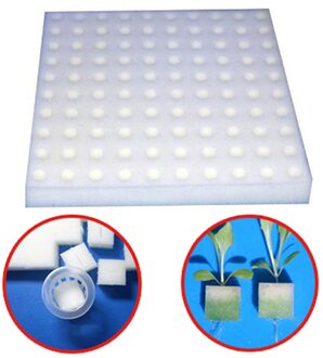 100Pcs/Sheet Tuin Teelt Plant Wit Zaailing Spons Smetteloos Hydrocultuur Groenten Kwekerij Potten Zaailingen Klonen Kraag