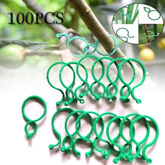 100Pcs Sluiting Kas Beugel Pole Vaste Klem Bloem Planten Zaailing Stem Ondersteuning Plant Enten Stakes Connector Clip