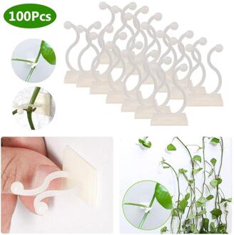 100Pcs Zelfklevende Plant Klimmen Muur Armatuur Clips Home Wijnstok Houder Haak
