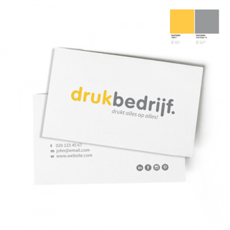 100x visitekaartjes in pms (100 st) drukken