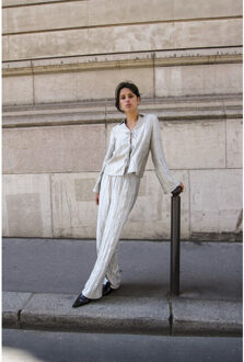 10104615 joviekb pants Zilver - 40