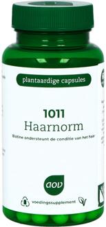 1011 Haarnorm