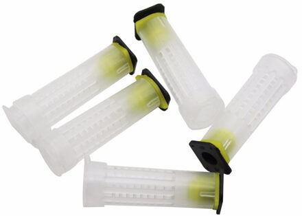 10PCS Bee Gereedschappen 7.6 cm Gevangenen Wang kooi Queen doos Bijenteelt diervoeder Bijenkorf