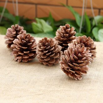 10Pcs Kerst Dennenappels Snuisterij Xmas Tree Party Opknoping Decoratie Voor Thuis Kerst Ornament Enfeites Natal 2 to 3CM